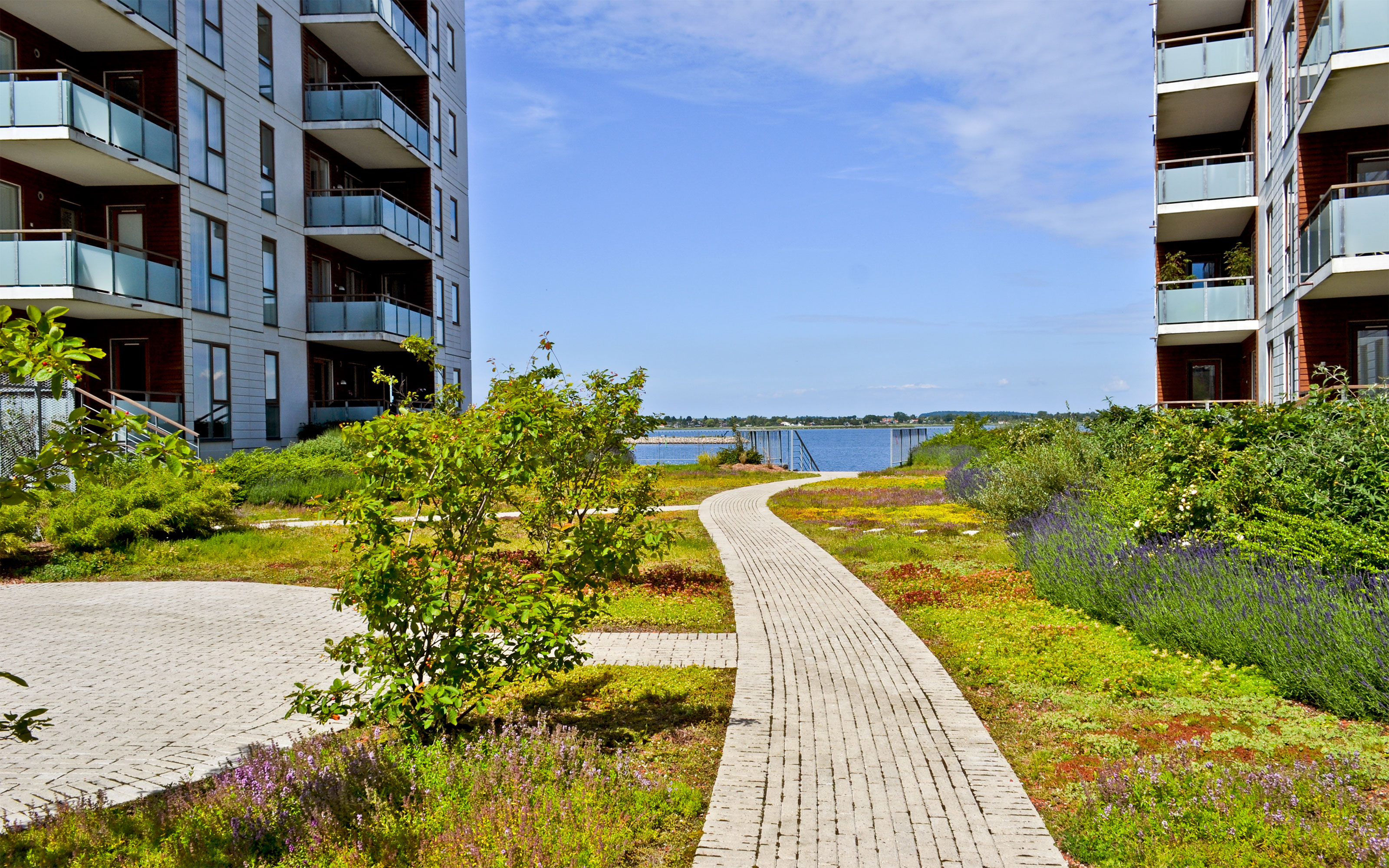 The underground parking areas make sure that the sea view remains free. Pathway through a residential green courtyard vegetated with perennials